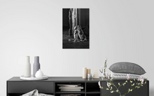 Load image into Gallery viewer, Ballet Slippers, Old LA Zoo