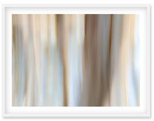 Load image into Gallery viewer, San Simeon Abstract III