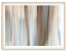 Load image into Gallery viewer, San Simeon Abstract III