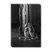 Load image into Gallery viewer, Ballet Slippers, Old LA Zoo