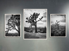 Load image into Gallery viewer, Joshua Tree II