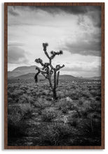 Load image into Gallery viewer, Joshua Tree II