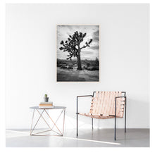Load image into Gallery viewer, Joshua Tree
