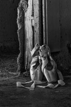 Load image into Gallery viewer, Ballet Slippers, Old LA Zoo