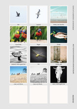 Load image into Gallery viewer, Pop Up Shop Line Sheet- Not For Sale
