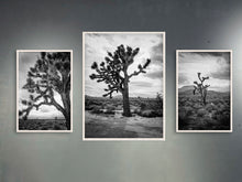 Load image into Gallery viewer, Joshua Tree II
